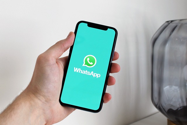 Il Comune di Taranto lancia il nuovo canale WhatsApp ufficiale per una comunicazione diretta con i cittadini